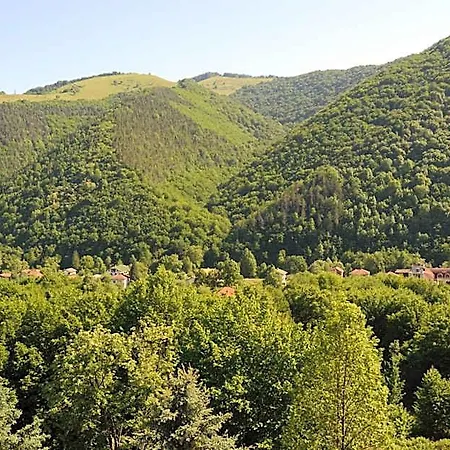 Park Hotel Ribarica